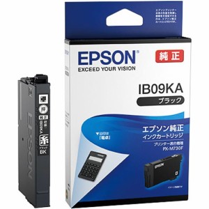 エプソン インクカートリッジＩＢ０９　ブラック IB09KA