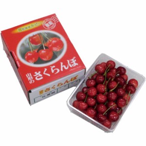 さくらんぼ  山形 佐藤錦 500g 秀 以上 2L-L サイズ 山形県産 国産 パック入り バラ詰め 化粧箱入 厳選 贈答用 サクランボ 産地直送 クー