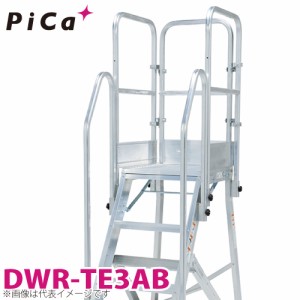 ピカ/Pica DWR用手すり DWR-TE3AB 適用型番：DER-90〜150A