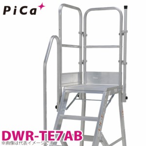 ピカ/Pica DWR用手すり DWR-TE7AB 適用型番：DER-90〜150A