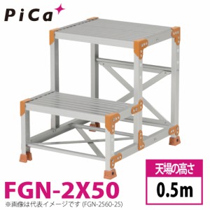 ピカ/Pica 作業台（Danchiシリーズ) FGN-2X50 路面：標準タイプ 最大使用質量：150kg  天場高さ：0.5ｍ 段数：2 質量：12.7kg ダンチ