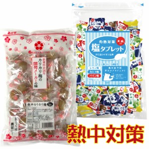 熱中カリカリ梅(赤城フーズ) 480g + 灼熱対策 塩タブレット(赤穂化成) 500g(約220粒) レモン・カシス・パイン 業務用