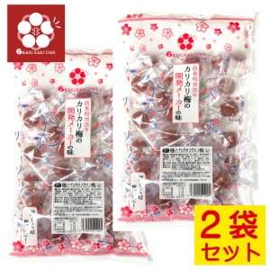 赤城フーズ 種とりカリカリ梅 1袋 230g 2袋セット 大粒  業務用サイズ 熱中症対策 種なししかりかり梅