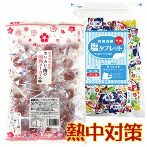 種とりカリカリ梅(赤城フーズ) 230g + 灼熱対策 塩タブレット(赤穂化成) 500g(約220粒) レモン・カシス・パイン 業務用 種なし 種取り