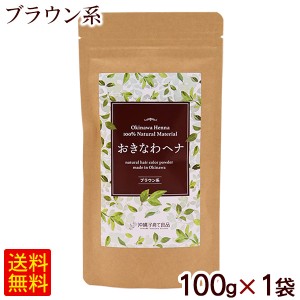 おきなわヘナ ブラウン系 100g×1袋　/沖縄子育て良品 琉球髪美人 白髪染め 天然ヘナ 【M便】