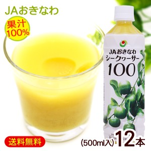 シークワーサー 果汁100％ 500ml×12本　/JAおきなわ 青切りシークヮーサー ジュース 原液 ノビレチン