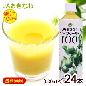 シークワーサー 果汁100％ 500ml×24本 /JAおきなわ 青切りシークワーサー ジュース 原液 ノビレチン