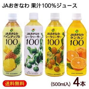 JAおきなわ 果汁100％ジュース4本セット（シークワーサー100 シークワーサーマイルド100 パインアップル100 タンカン100）　/沖縄お土産