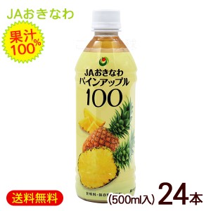 パインアップル100　500ml×24本　 /沖縄県産パインジュース 果汁100％ JAおきなわ