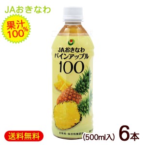 パインアップル100　500ml×6本　 /沖縄県産パインジュース 果汁100％ JAおきなわ