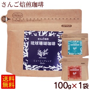 琉球珊瑚珈琲 100g×1袋　/沖縄 サンゴ焙煎 コーヒー 粉 豆 【M便】