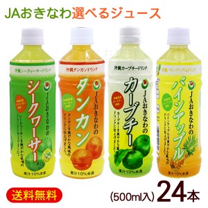 JAおきなわ 選べるジュース 500ml×24本　/パインアップルジュース タンカンジュース シークワーサージュース カーブチージュース