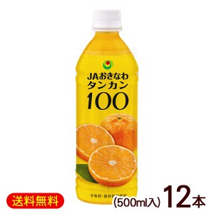タンカン100　500ml×12本　/沖縄県産タンカンジュース 果汁100％ JAおきなわ