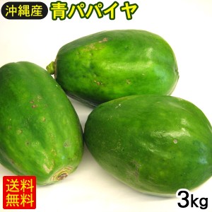 青パパイヤ 3kg　沖縄産