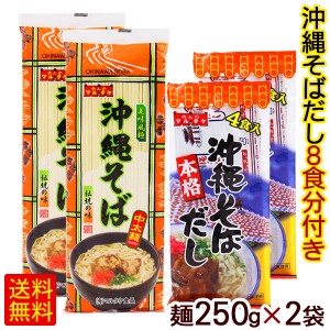 沖縄そば 250g×2袋 （沖縄そばだし8食分付き）　/マルタケ 中太麺 乾麺 【M便】ポイント消化