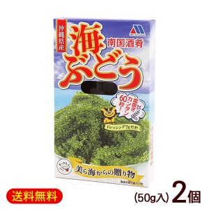 南国酒肴 海ぶどう タレ付き 50g×2個　/塩水漬け 沖縄産 お土産【M便】