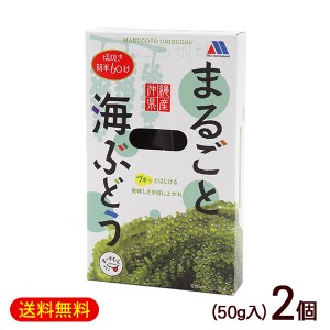 まるごと海ぶどう 50g×2個　/タレなし 塩水漬け 沖縄産 お土産【M便】