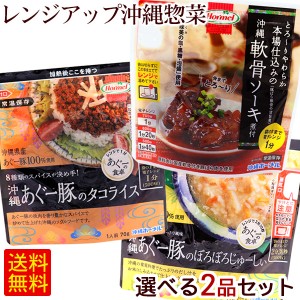 レンジアップ沖縄総菜 選べる2品セット　/沖縄ホーメル レンチン総菜 ソーキ 雑炊 タコライス 【M便】