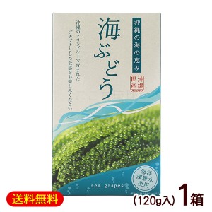 海ぶどう 120g×1箱　/箱入 タレなし 沖縄産 グローアップ【M便】