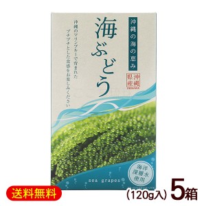 海ぶどう 120g×5箱　/箱入 タレなし 沖縄産 お土産 グローアップ