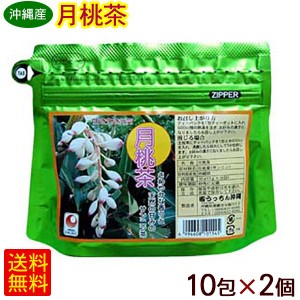 月桃茶 ティーパック（2g×10P）×2個 【M便】