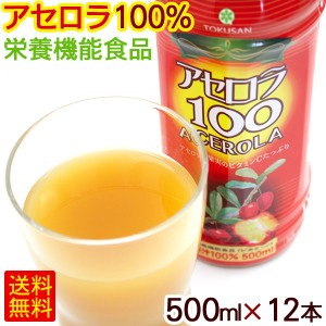 アセロラ100 果汁100％ 500ml×12本　/アセロラジュース