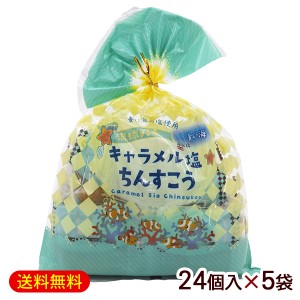 キャラメル塩ちんすこう 袋入 （2個×12袋）×5袋　/沖縄お土産 お菓子 南国製菓