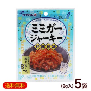 ミミガージャーキーN　9g×5袋　/ぬちまーす使用 豚耳皮 おつまみ 珍味 沖縄お土産 オキハム【M便】