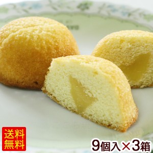 シークワーサーシフォンケーキ 9個入×3箱　/沖縄お土産 お菓子
