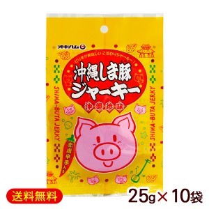 オキハム 沖縄しま豚ジャーキー 25g×10袋   【M便】