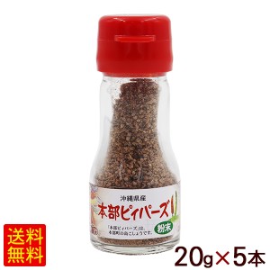 本部ピィパーズ 粉末 20g×5本　/沖縄産 粗挽き ヒハツ ピパーズ ピパーツ ピパーチ ロングペッパー 島胡椒【小宅】