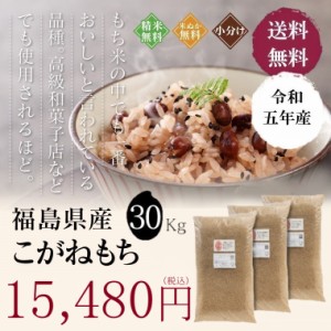 米 玄米 お米 こめ もち米 30kg 令和5年産  送料無料 福島県産こがねもち 30kg 【別途送料 北海道＋400円 九州＋600円 沖縄・離島＋2500