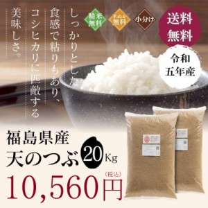 無洗米 玄米 米 お米 こめ 20kg 令和5年産 送料無料 福島県産天のつぶ 20kg 【別途送料 北海道＋200円 九州＋400円 沖縄・離島＋2500円】