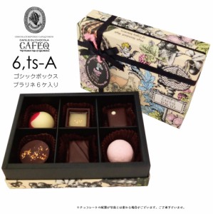 【バレンタイン】【お誕生日】【ギフト】トリュフチョコレート6種各1ケ入り・ボックス チョコレート ギフト/プラリネチョコレート・2種類