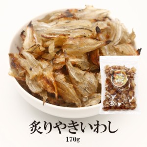 おつまみ 干物 珍味 炙りいわし170g 送料無料  やわらか 炙りいわし 珍味 大袋 170g 大容量 おつまみ いわし 炙り あぶり 美味しい 大袋 