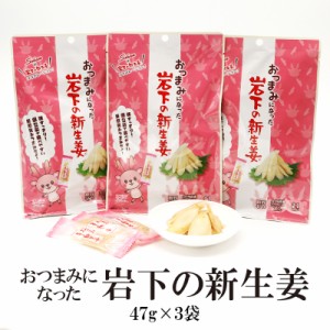 岩下の新生姜 47g×3袋 送料無料 新しょうが 新生姜 個包装 個袋 おつまみ になった 持ち運び便利 生姜 漬け 小分け おつまみ 珍味 ウイ