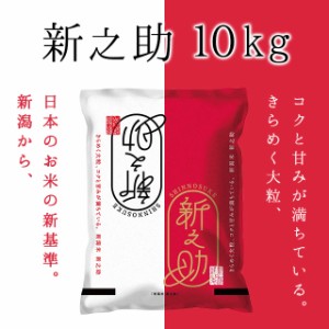 【令和5年産】 新之助 10kg セット（5キロ×2袋）【送料無料 ※沖縄送料+2,200円】新潟県産 米 10キロ 送料無料 精米 令和5年 10kg お米 