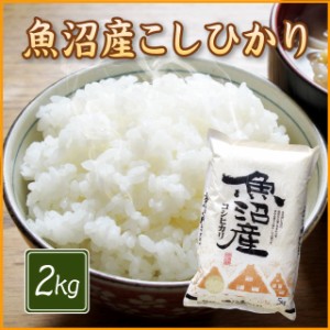 【令和5年産】魚沼産 コシヒカリ 2kg （2キロ×1袋） お歳暮 ギフト 贈り物 米 2キロ 精米 特A 令和4年 2kg お米 2kg 安い 産地直送 ギフ