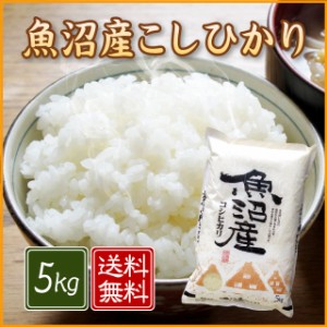 【令和5年産】魚沼産 コシヒカリ 5kg （5キロ×1袋） 【送料無料 ※沖縄別送+2,200円】 米 5キロ 送料無料 お歳暮 贈り物 精米 特A 令和5