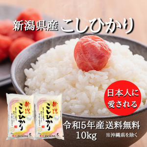 【令和5年産】新潟県産 コシヒカリ 10kg セット （5キロ×2袋） 【送料無料 ※沖縄別送+2,200円】 米 10キロ 送料無料 精米 令和5年 10kg