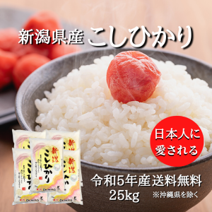 【令和5年産】新潟県産 コシヒカリ 25kg （5キロ×5袋） 【送料無料 ※沖縄別送+2,200円】 米 25キロ 送料無料 精米 令和5年 25kg お米 2