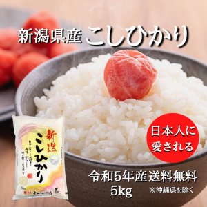 【令和5年産】新潟県産 コシヒカリ 5kg （5キロ×1袋）【送料無料 ※沖縄別+2,200円】 米 5キロ 送料無料 精米 令和5年 5kg お米 5kg 安