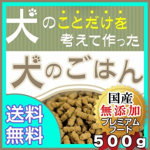 プレミアム ドッグフード 500g(お試し用)”犬のことだけを考えて作った犬のごはん”【全年齢、全犬種対応】★お一人様(同一住所)1回限り 