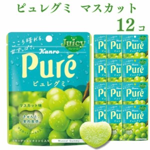 お菓子 グミ カンロ ピュレグミ マスカット 56g 12袋 送料無料 まとめ買い ストック