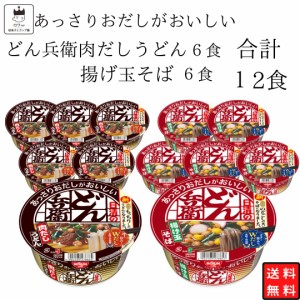 カップ麺 詰め合わせ 箱買い アソート 日清 どん兵衛 肉だしうどん 6食 どん兵衛揚げ玉そば 6食 送料無料 まとめ買い ストック 買い置き