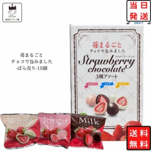 お菓子 詰め合わせ 送料無料 個包装 小分け ばら売り 駄菓子 駄菓子セット 駄菓子屋 いちごチョコ 苺まるごとチョコで包みました 15個入