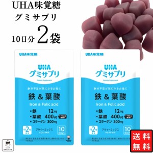   UHA味覚糖 グミサプリ アサイー 2袋 鉄 葉酸 お試し 美容 健康 栄養補給