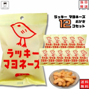 お菓子 詰め合わせ 送料無料 おつまみ セット おつまみセット 駄菓子 駄菓子セット 駄菓子屋 煎餅 せんべい 子供 子供会 おかき ラッキー