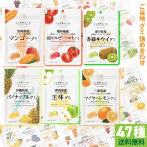 お菓子 詰め合わせ 全農 ニッポンエール グミ 47種 駄菓子 まとめ買い アソートセット 北海道産夕張メロングミ 岩手県産山葡萄 グミ 秋田