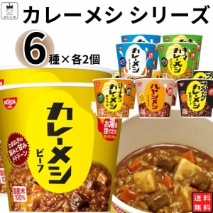 レトルト食品 詰め合わせ 常温保存 レトルト 惣菜 カレー ごはん まとめ買い お試し 送料無料 日清 カレーメシ 6種 各2個セットセット ラ